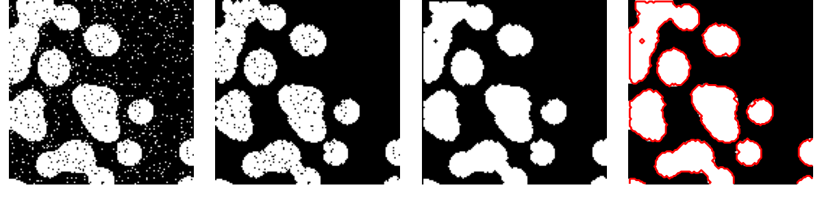 ../../_images/sphx_glr_plot_clean_morpho_001.png